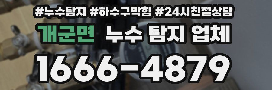 개군면 누수 탐지 업체