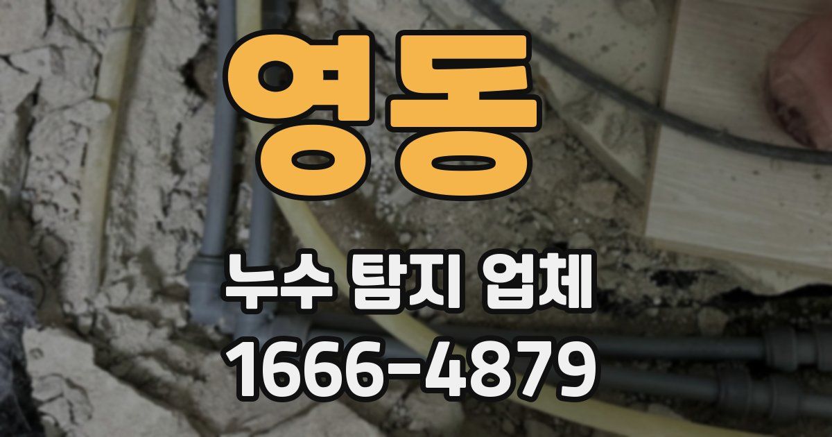 영동 누수 탐지 업체