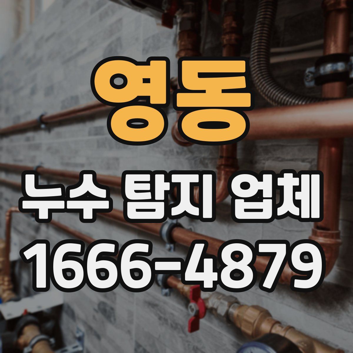 영동 누수 탐지 업체