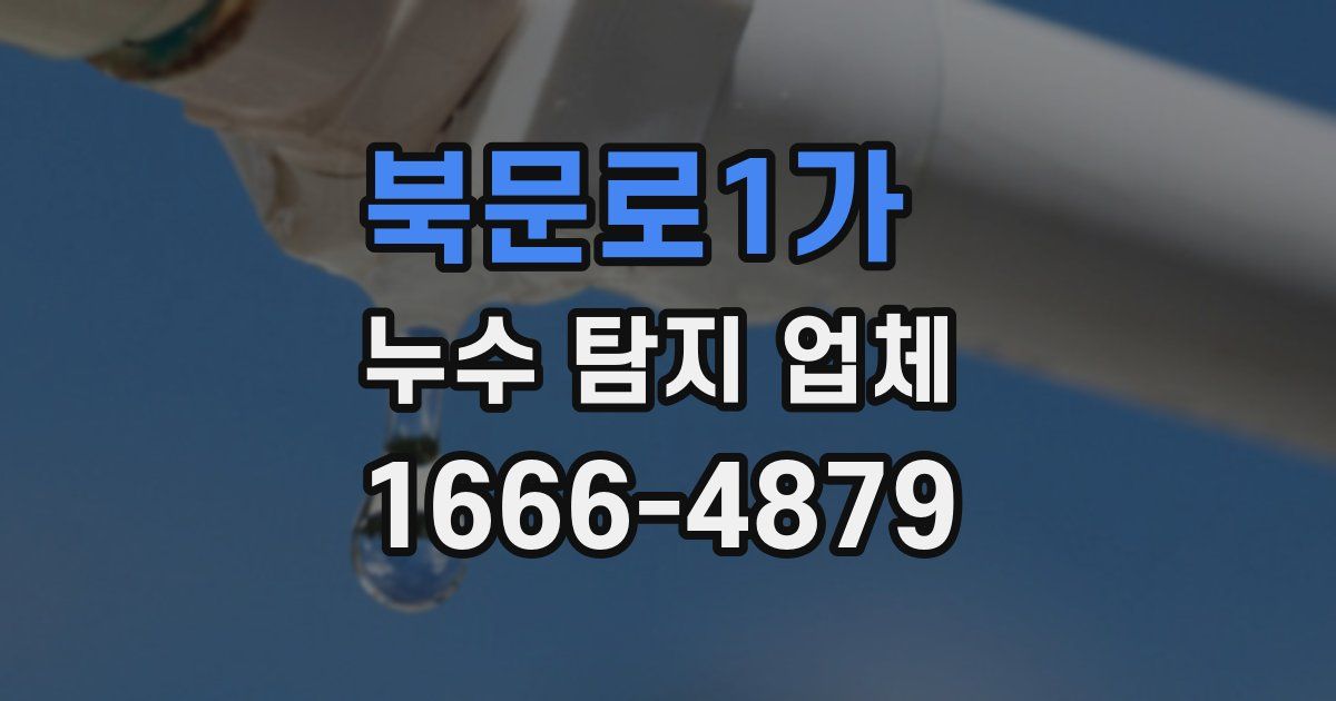 북문로1가 누수 탐지 업체