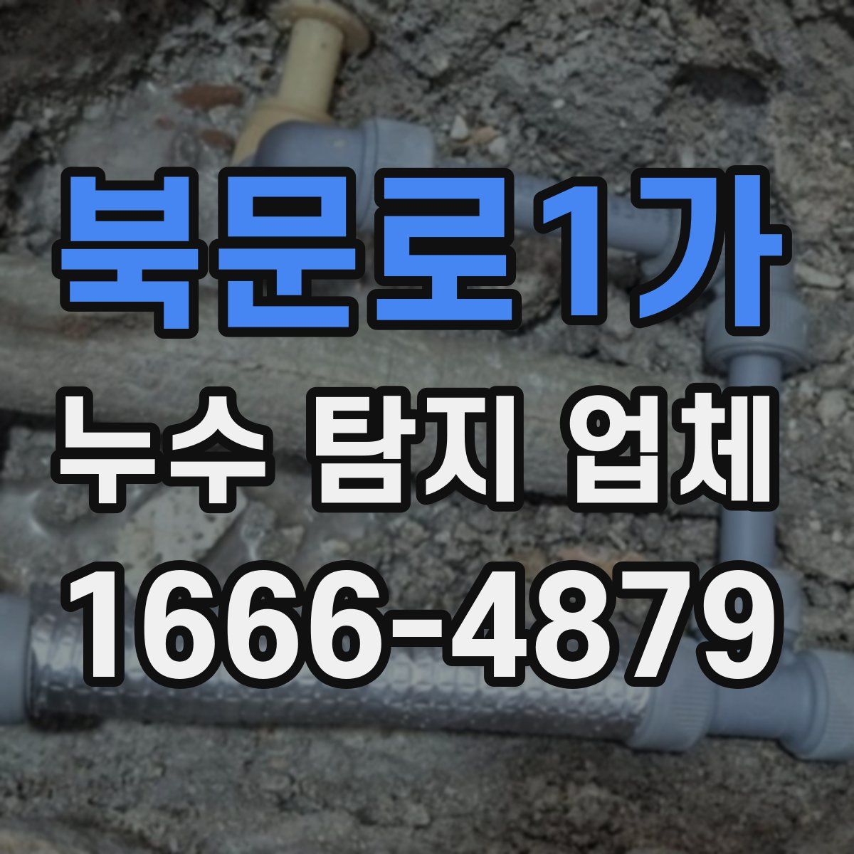 북문로1가 누수 탐지 업체