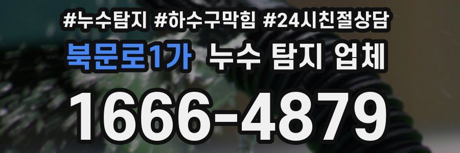 북문로1가 누수 탐지 업체