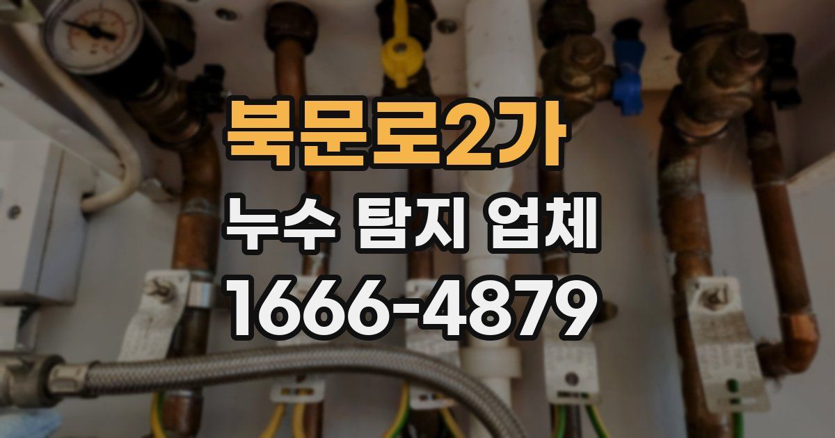 북문로2가 누수 탐지 업체