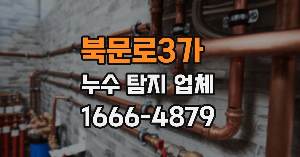 북문로3가 누수 탐지 업체