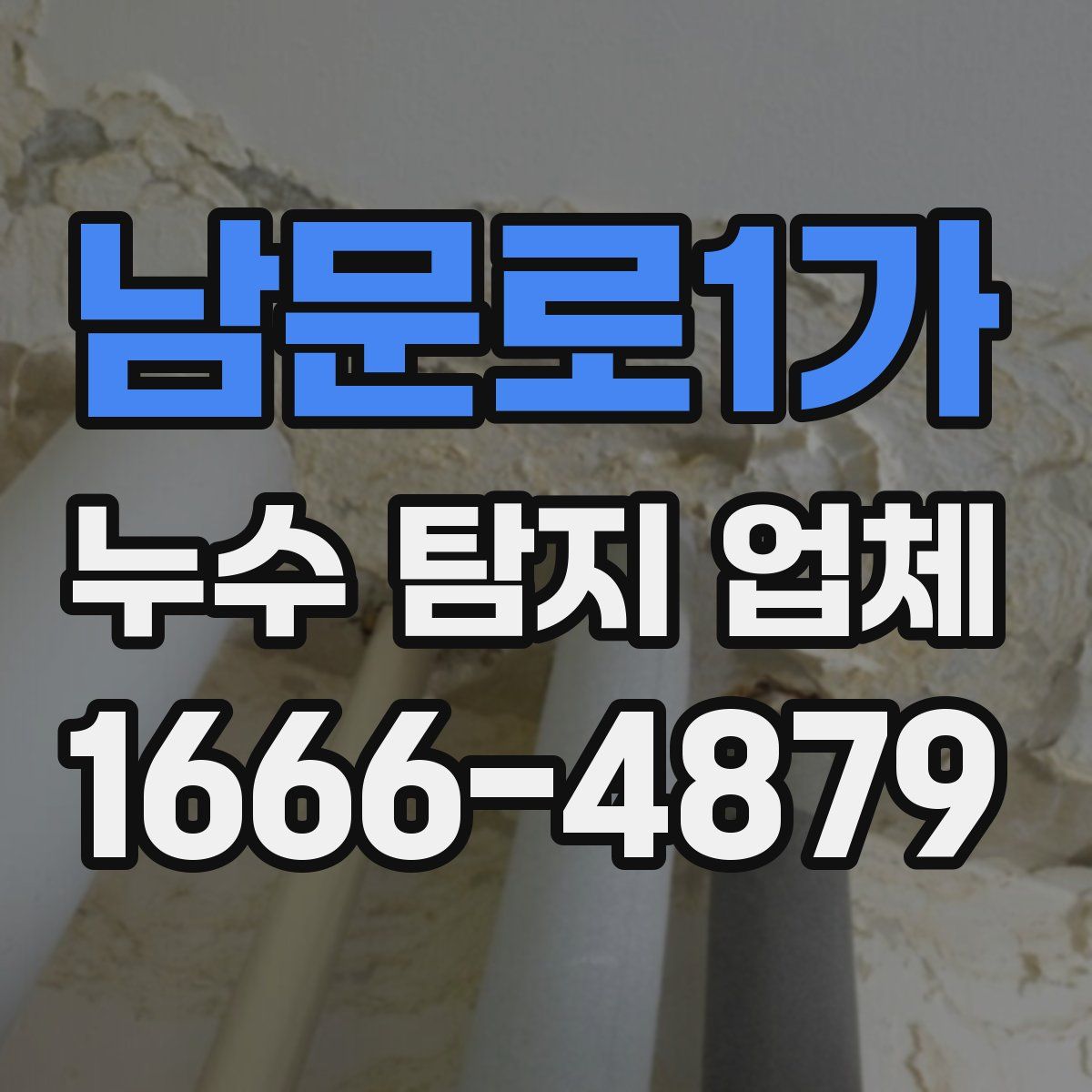 남문로1가 누수 탐지 업체