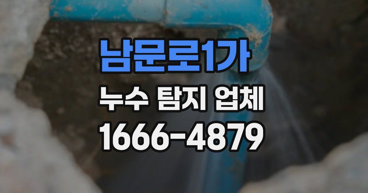 남문로1가 누수 탐지 업체