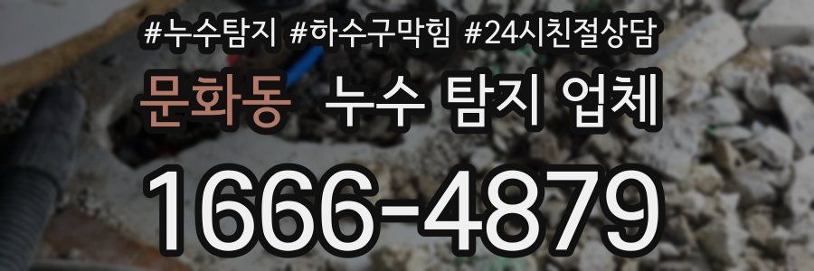 문화동 누수 탐지 업체