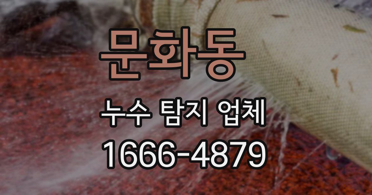 문화동 누수 탐지 업체
