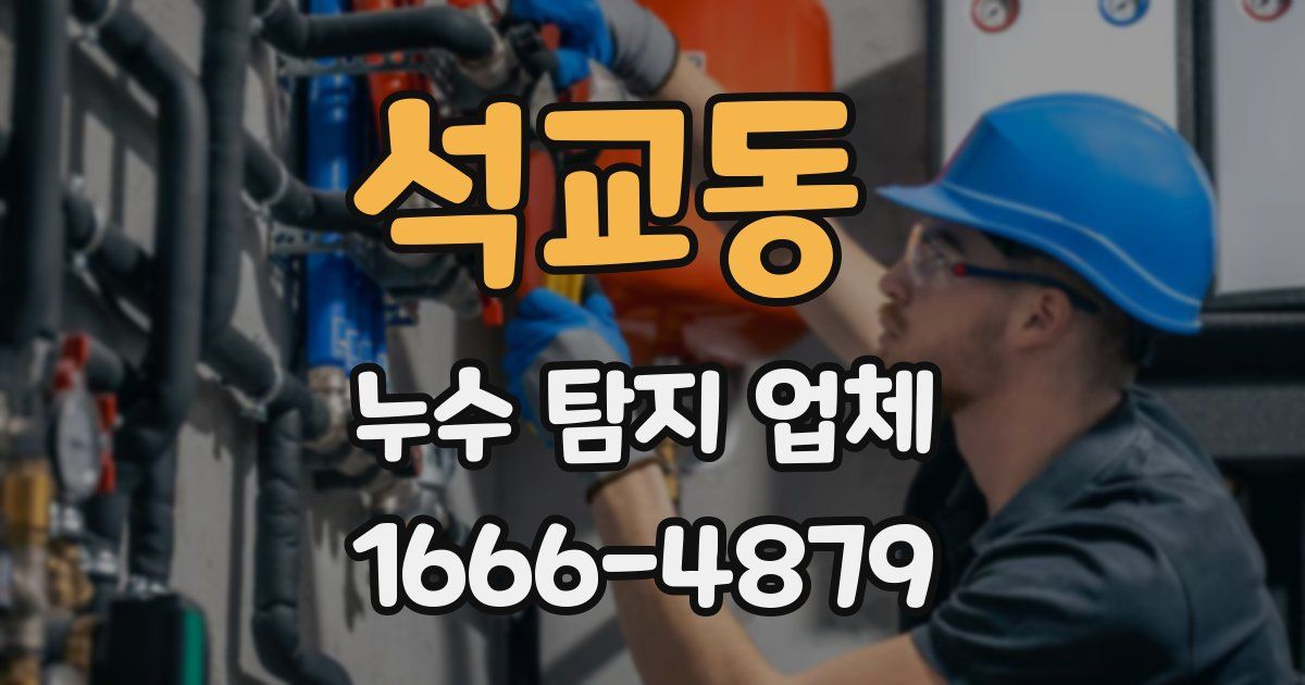 석교동 누수 탐지 업체