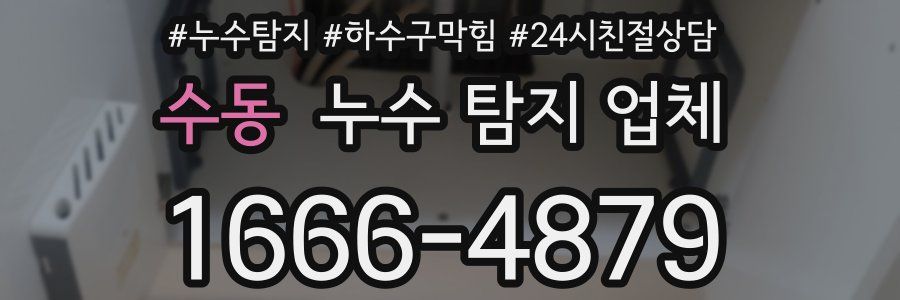수동 누수 탐지 업체