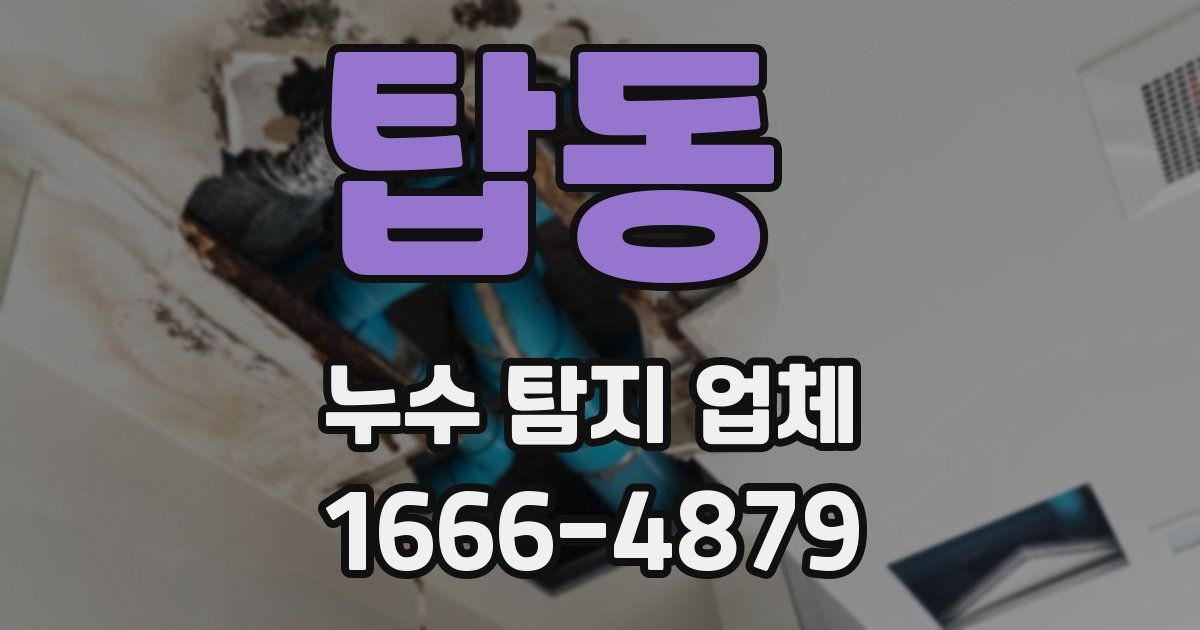 탑동 누수 탐지 업체