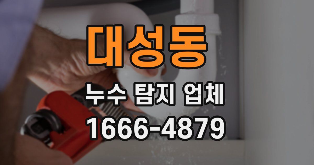 대성동 누수 탐지 업체