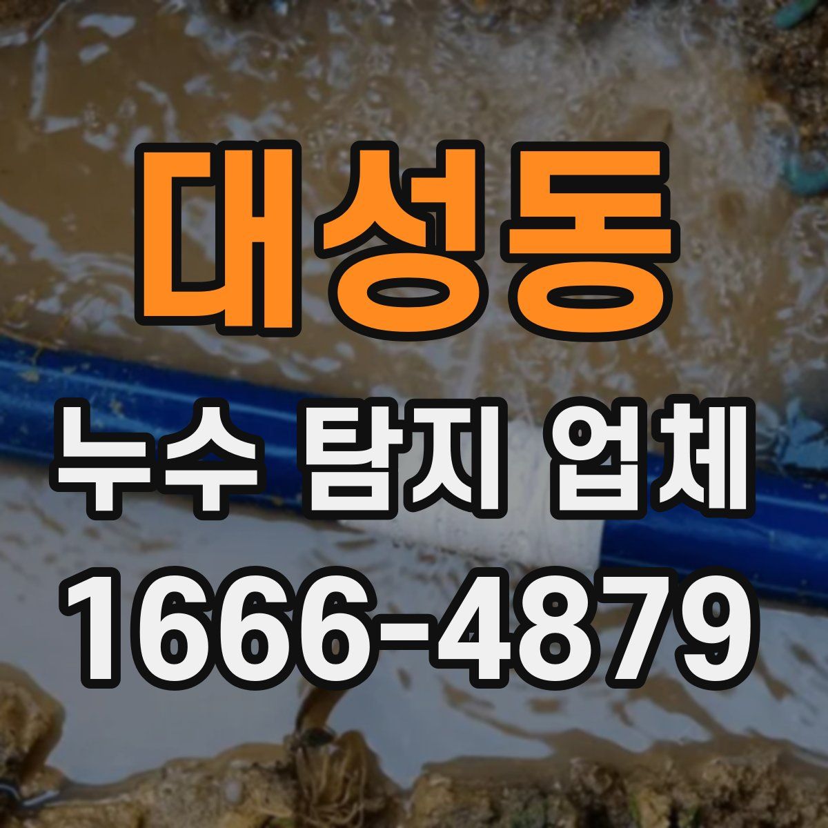 대성동 누수 탐지 업체