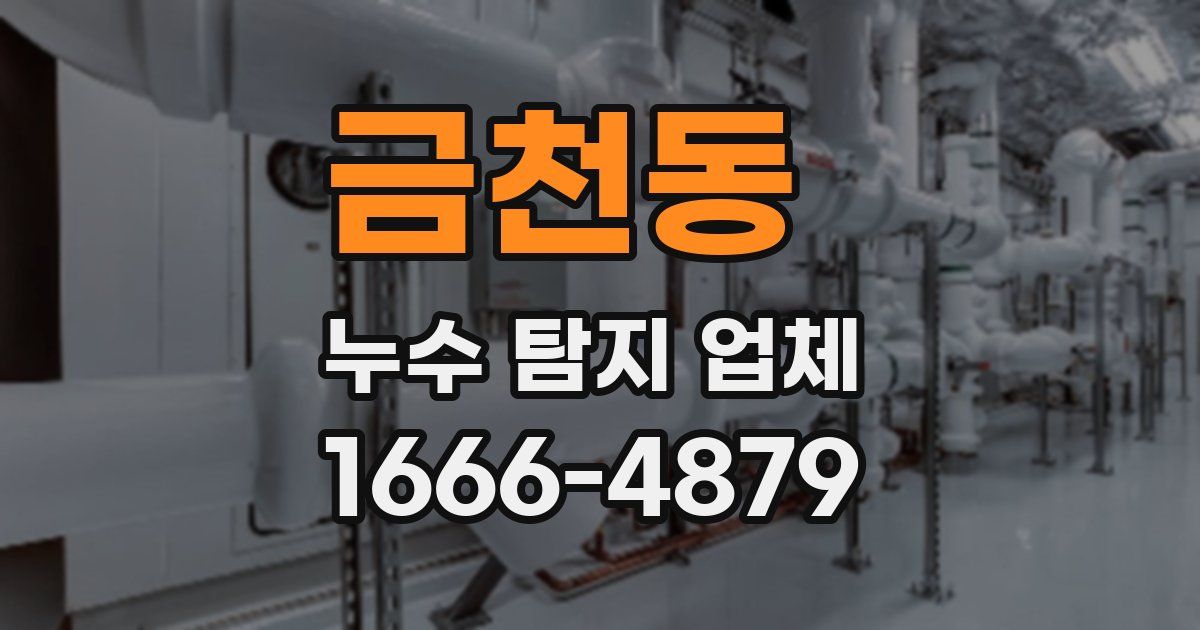 금천동 누수 탐지 업체