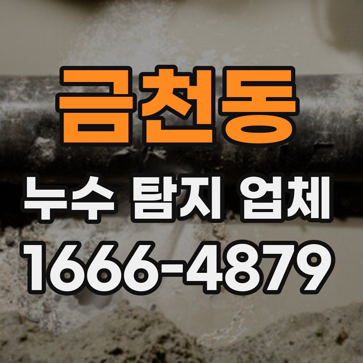 금천동 누수 탐지 업체