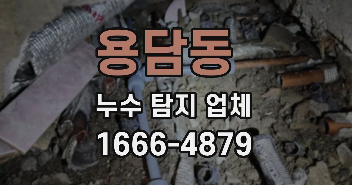 용담동 누수 탐지 업체