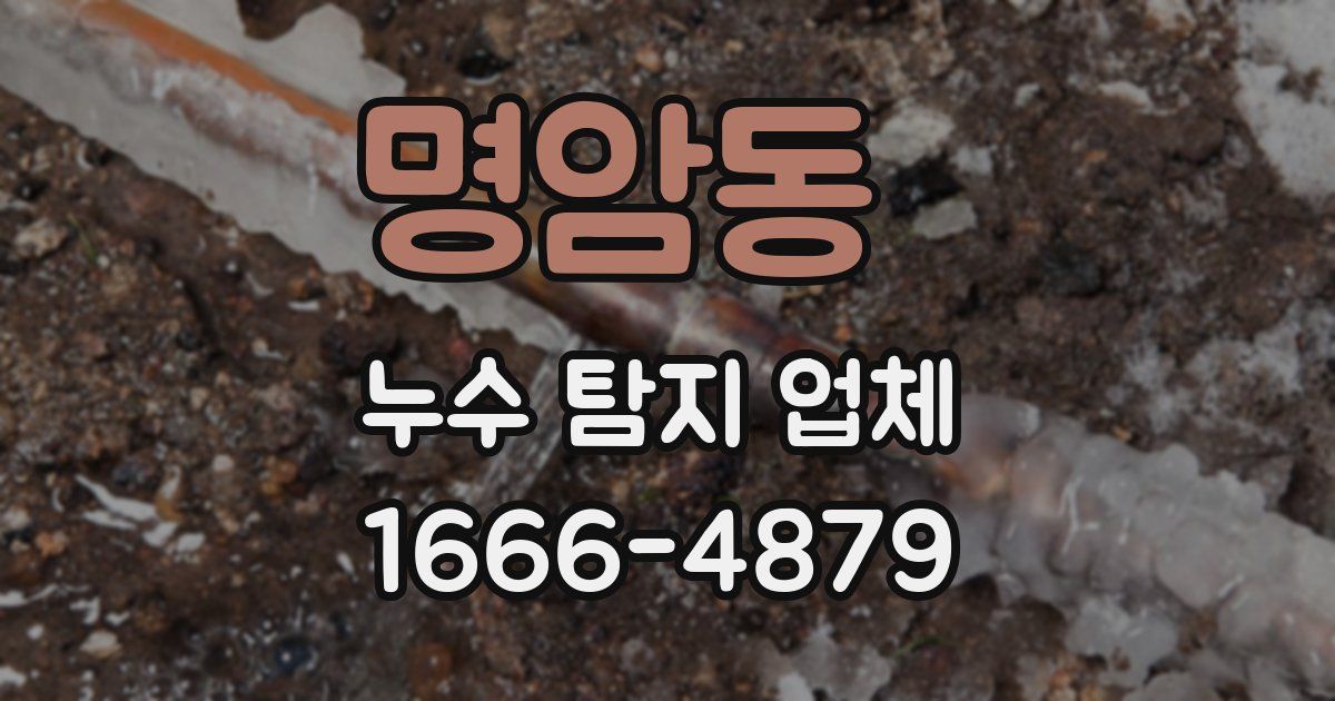 명암동 누수 탐지 업체
