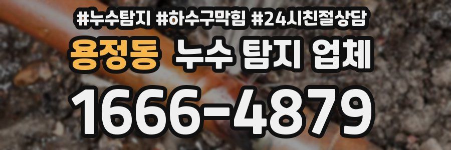 용정동 누수 탐지 업체