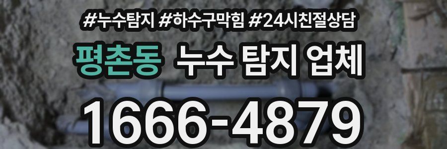 평촌동 누수 탐지 업체