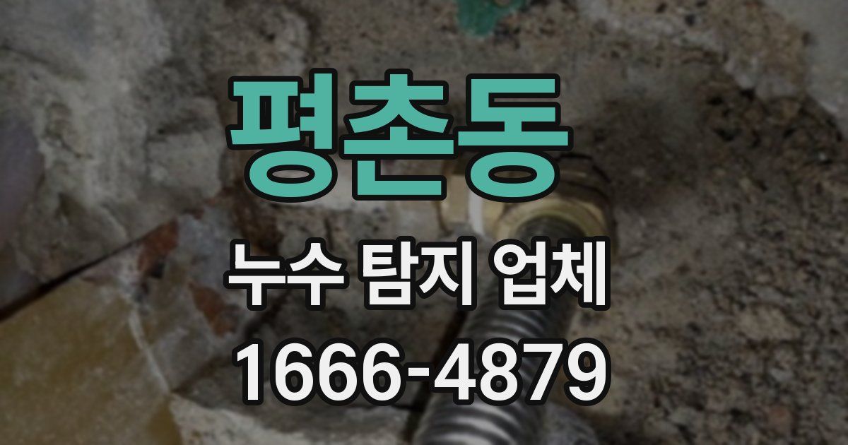 평촌동 누수 탐지 업체