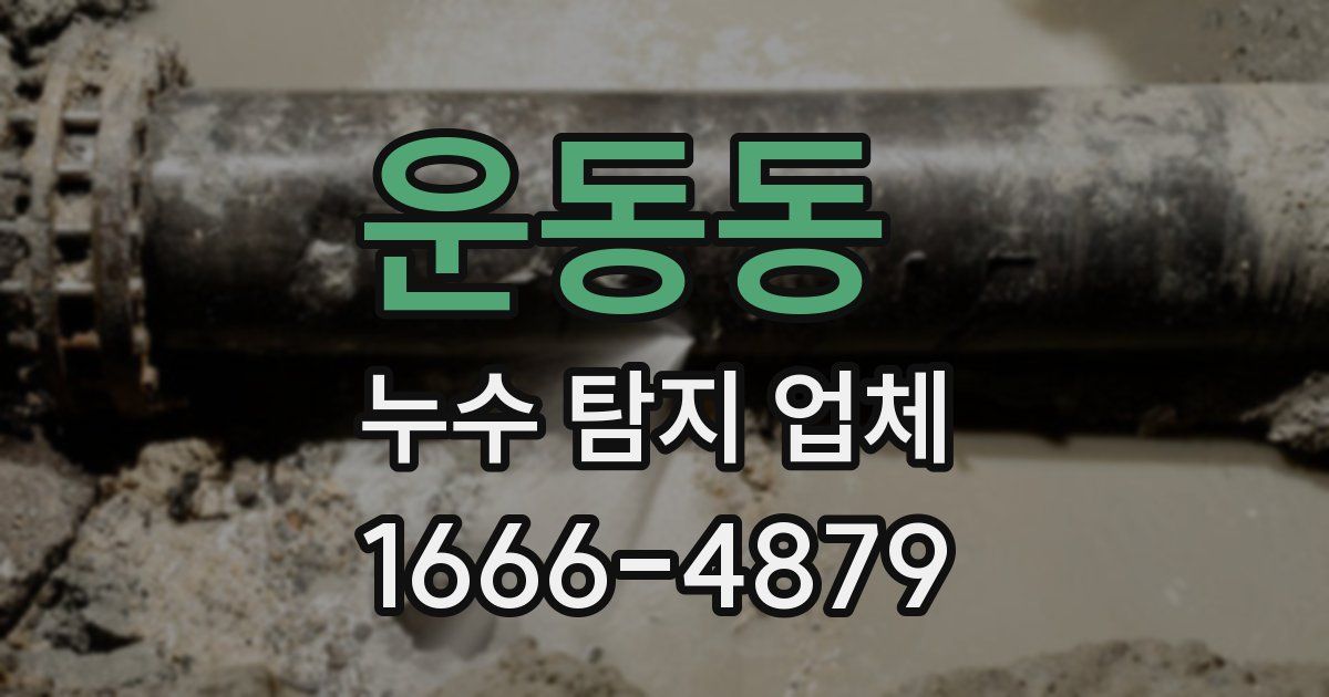 운동동 누수 탐지 업체