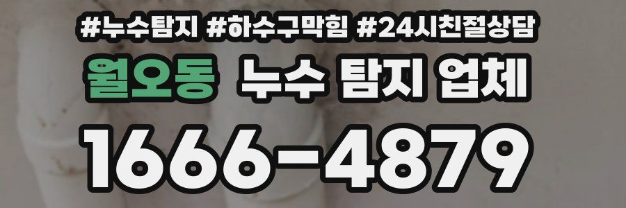 월오동 누수 탐지 업체