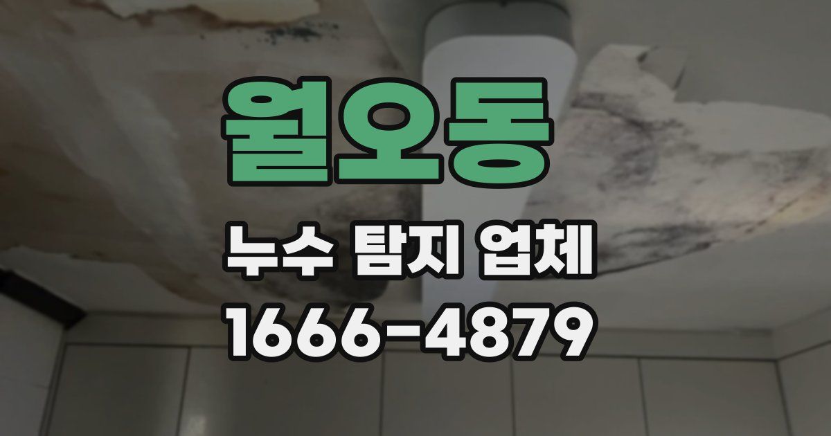 월오동 누수 탐지 업체