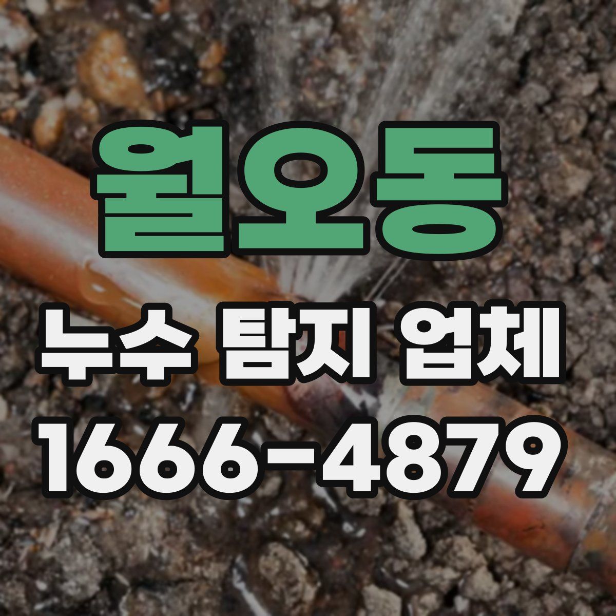 월오동 누수 탐지 업체