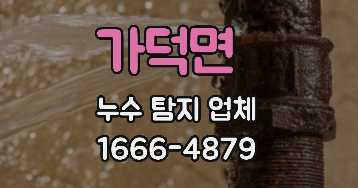 가덕면 누수 탐지 업체