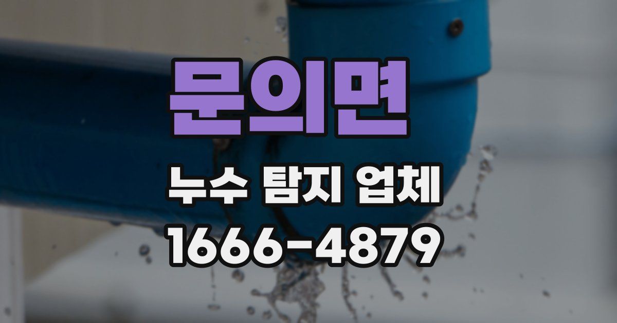 문의면 누수 탐지 업체
