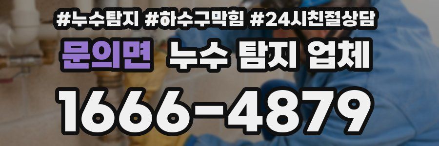 문의면 누수 탐지 업체