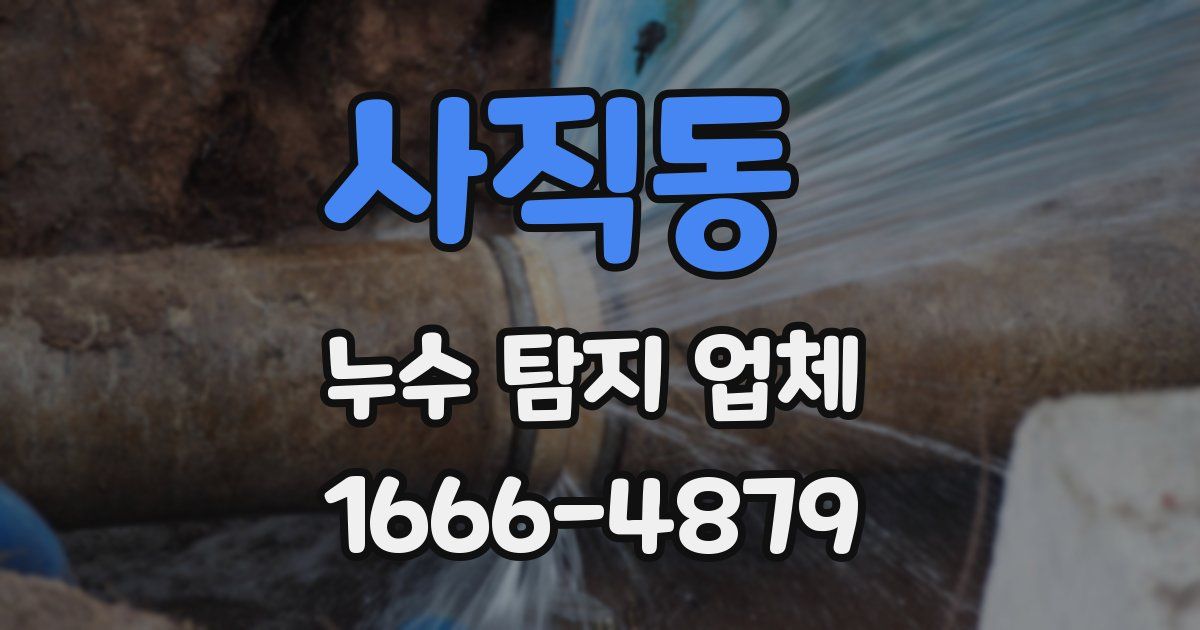 사직동 누수 탐지 업체