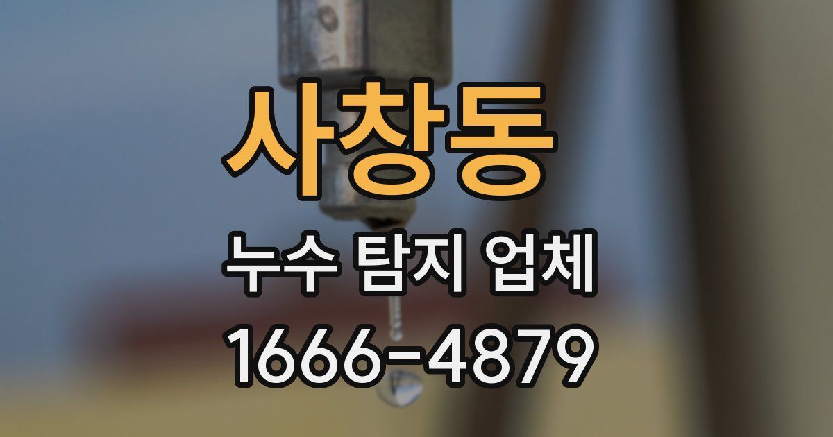 사창동 누수 탐지 업체