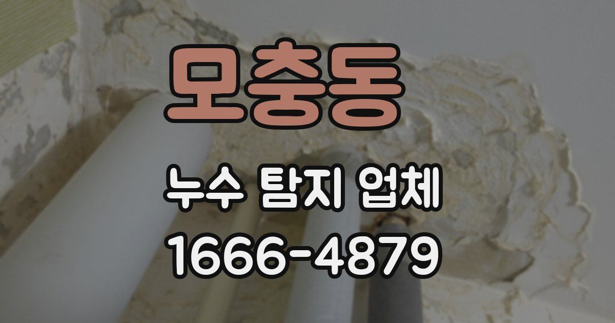 모충동 누수 탐지 업체