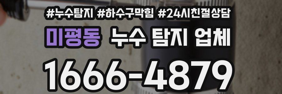 미평동 누수 탐지 업체