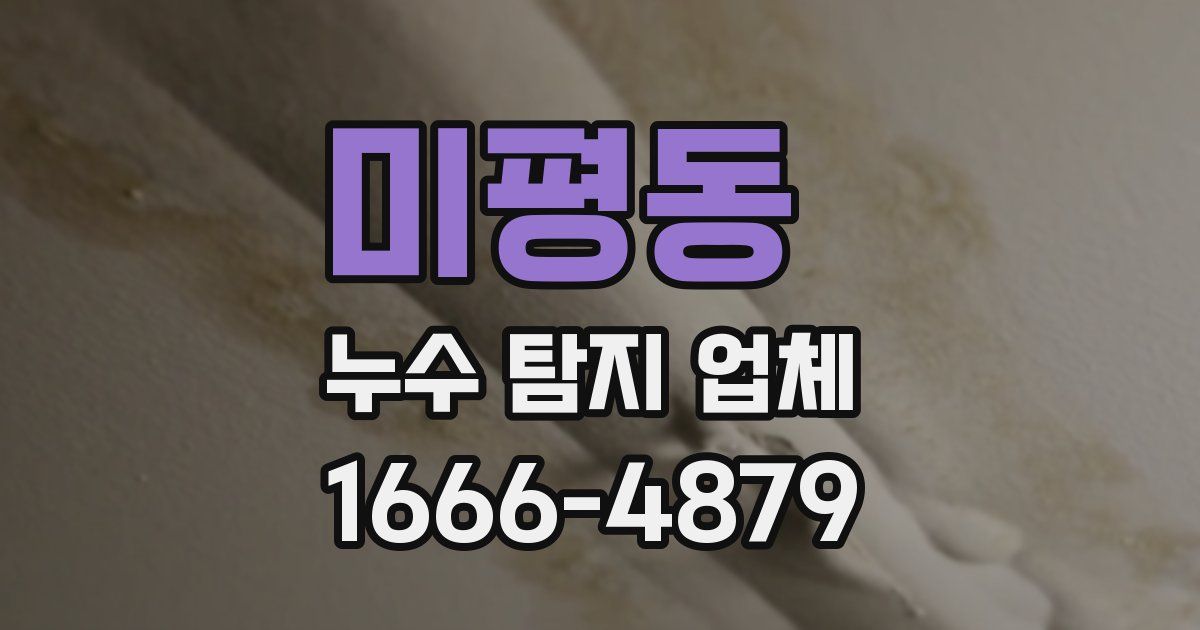 미평동 누수 탐지 업체