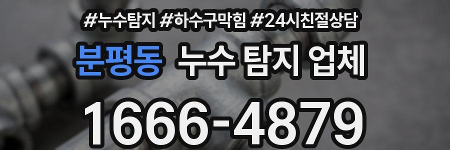 분평동 누수 탐지 업체
