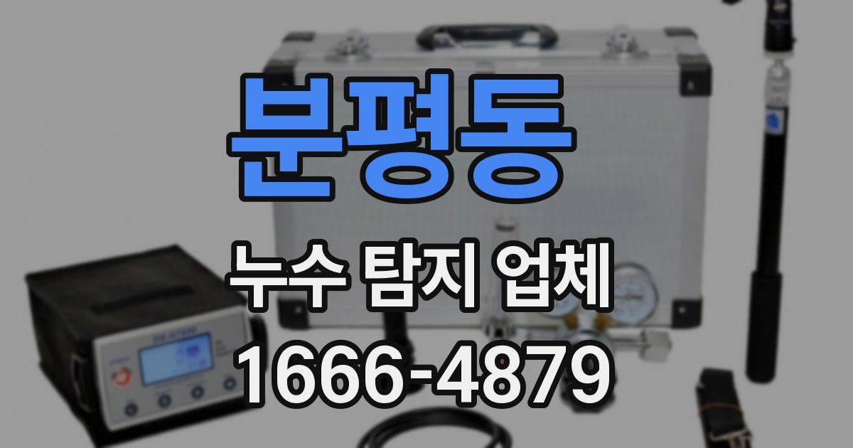 분평동 누수 탐지 업체