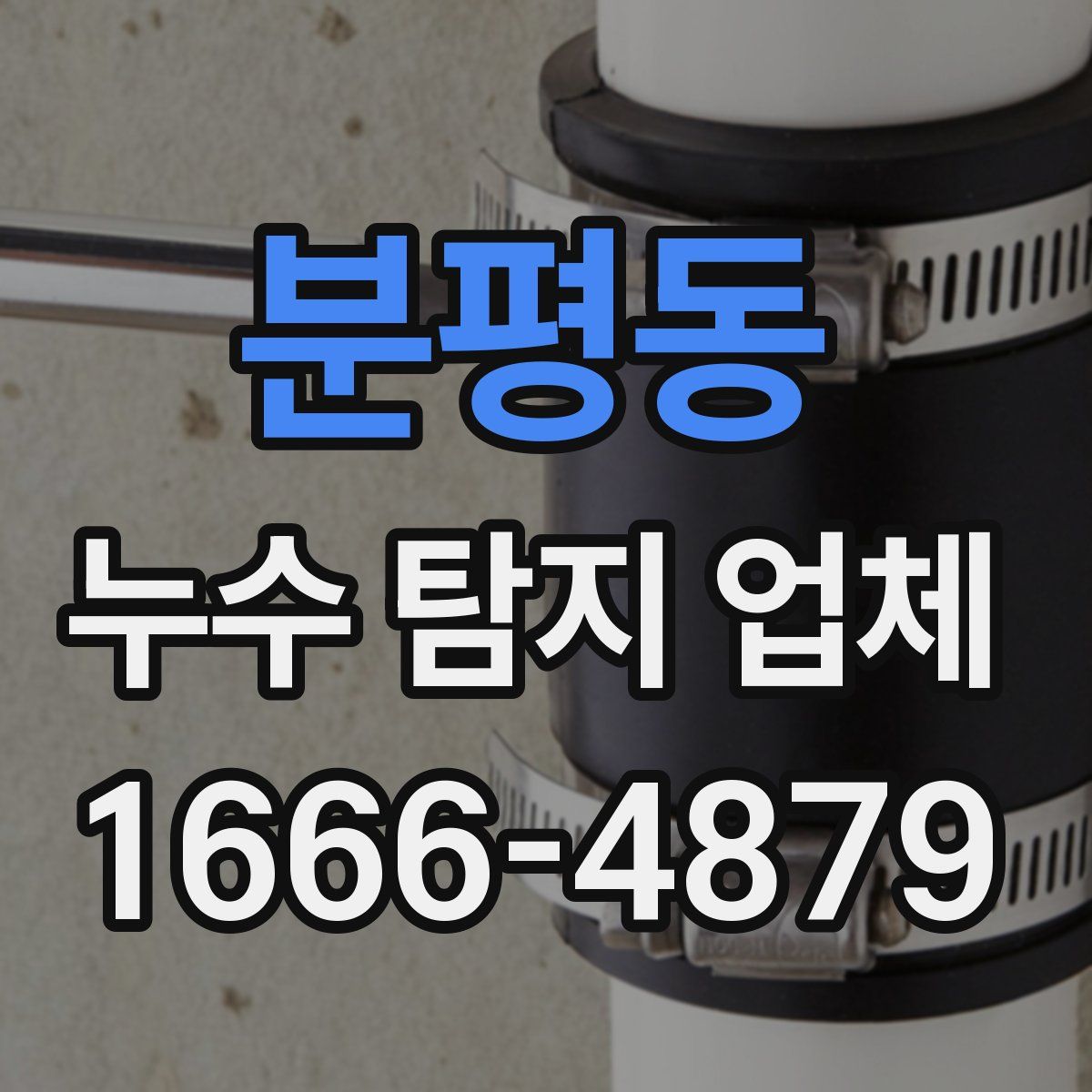 분평동 누수 탐지 업체