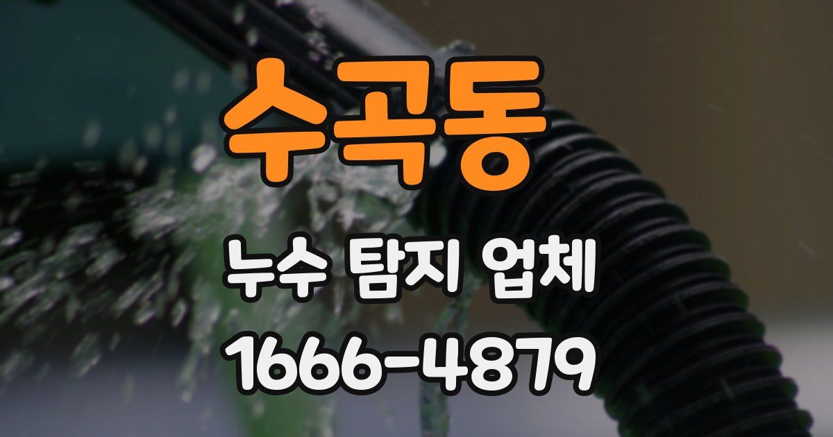 수곡동 누수 탐지 업체