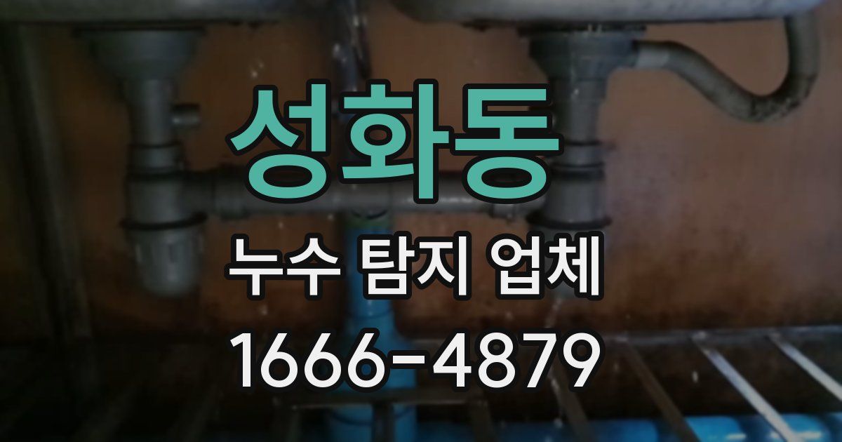 성화동 누수 탐지 업체