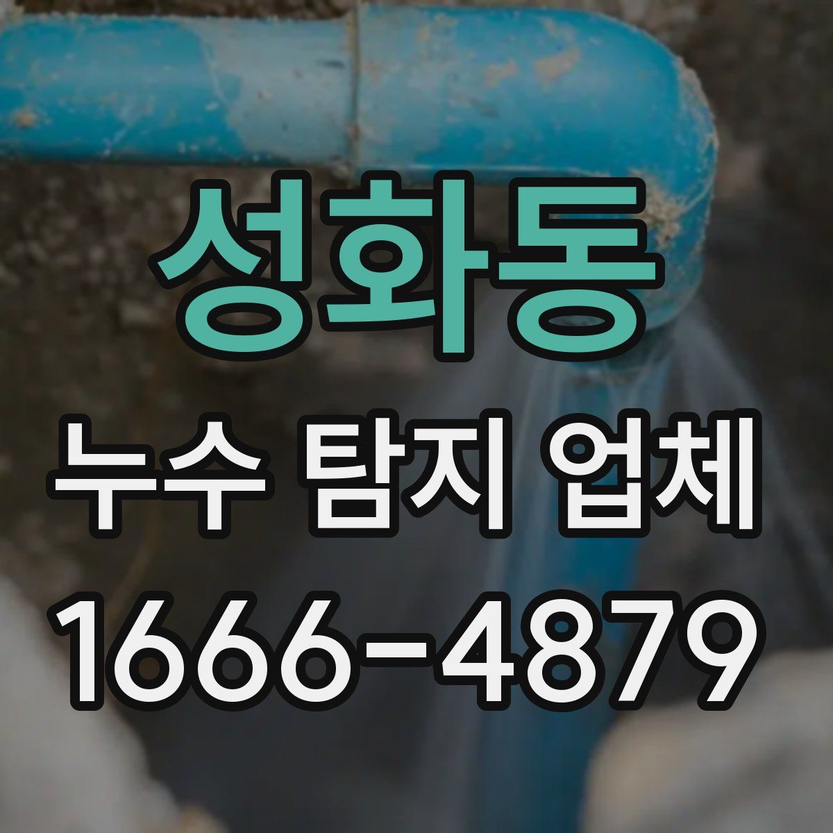 성화동 누수 탐지 업체