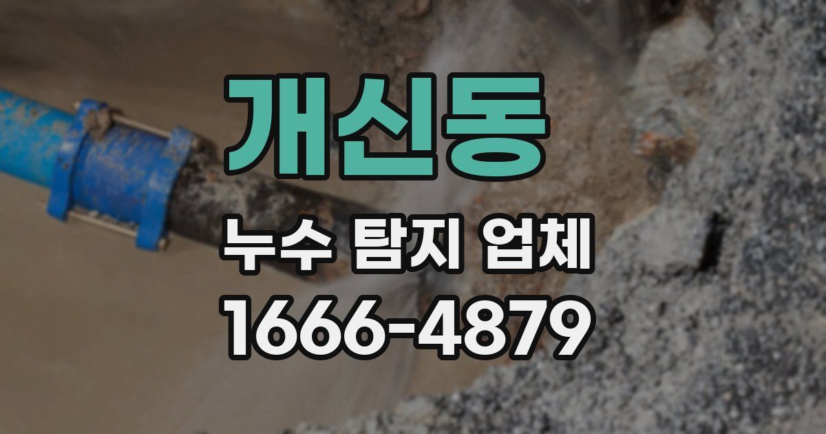 개신동 누수 탐지 업체