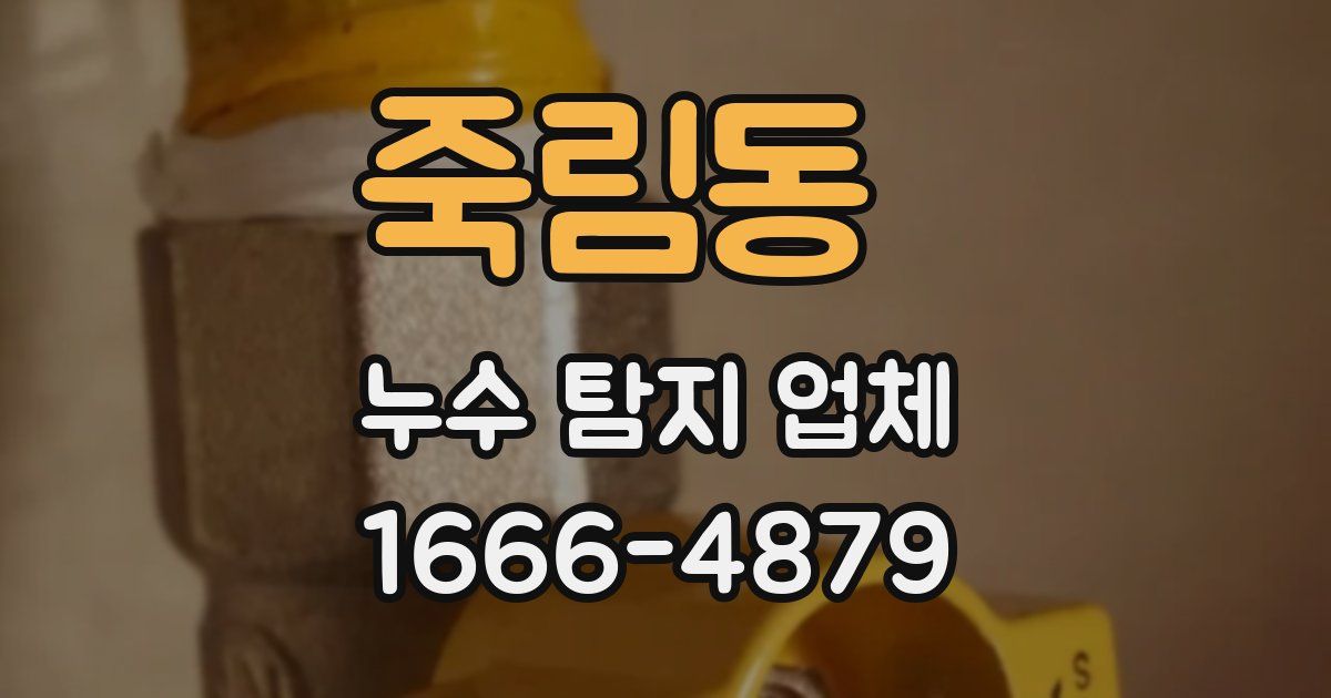 죽림동 누수 탐지 업체