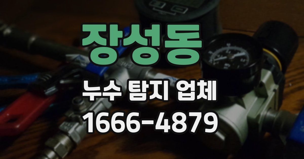 장성동 누수 탐지 업체