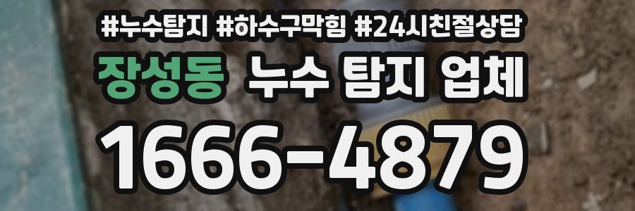장성동 누수 탐지 업체