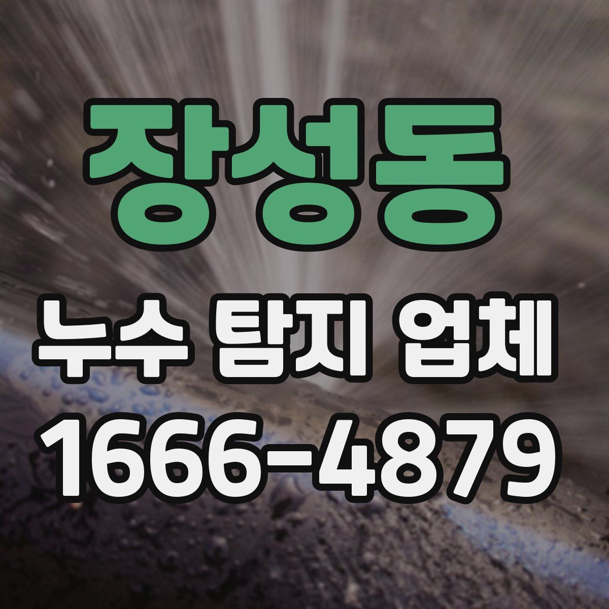 장성동 누수 탐지 업체