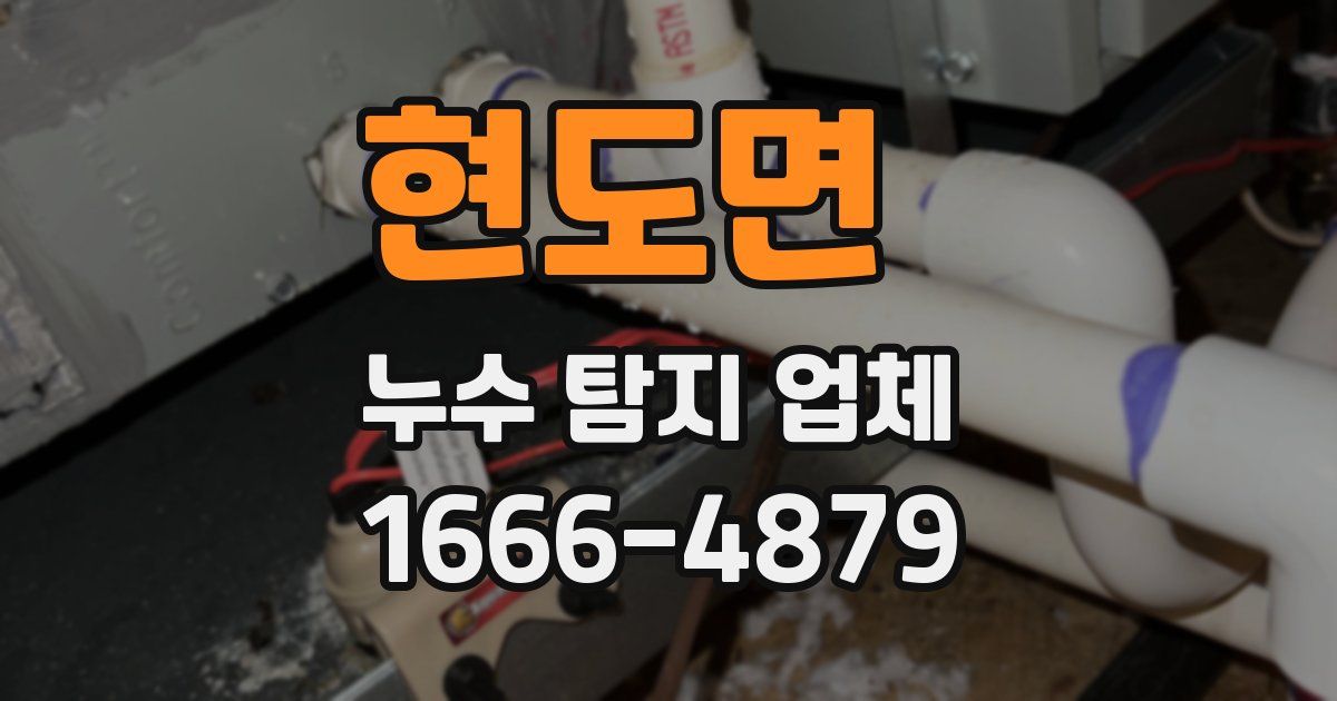 현도면 누수 탐지 업체