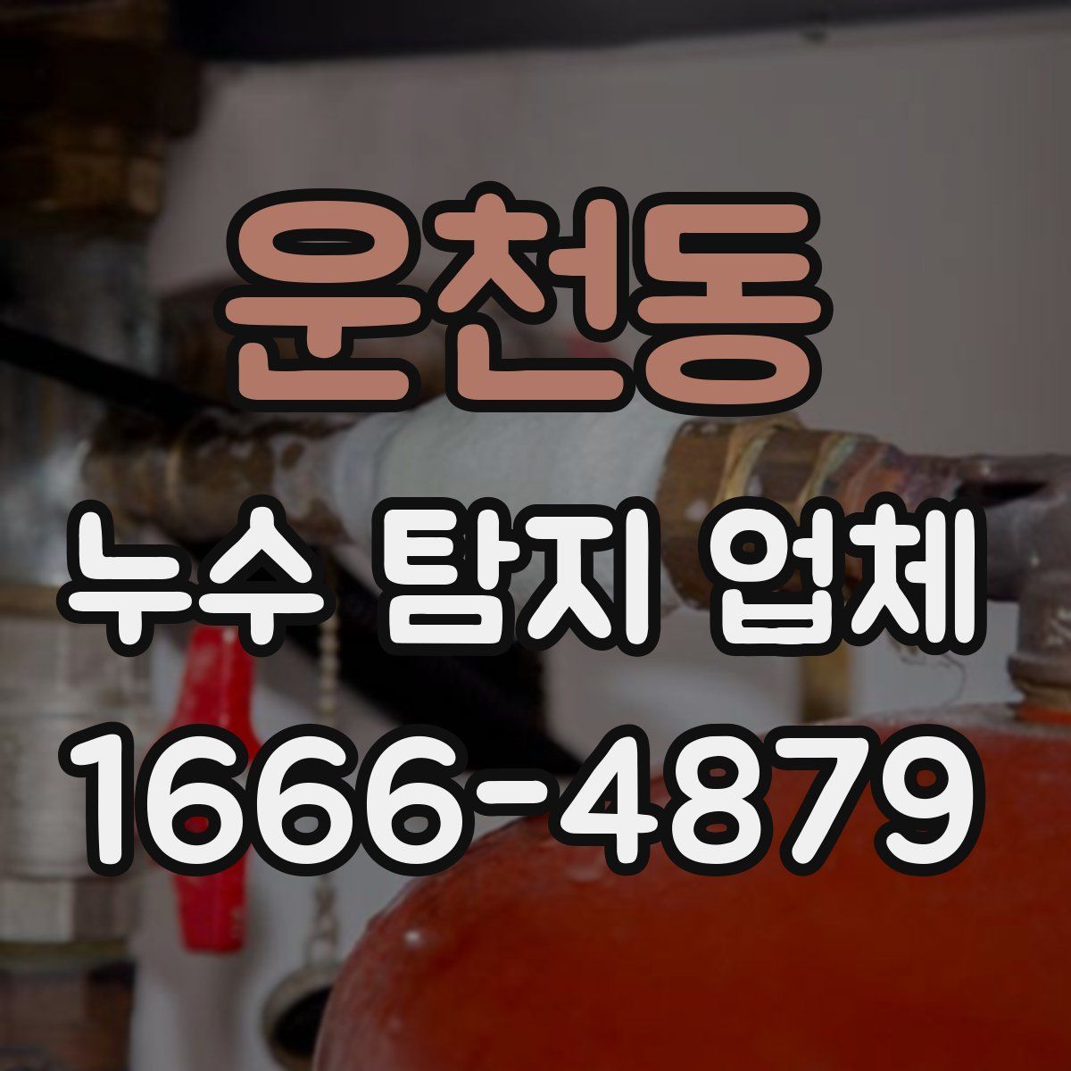운천동 누수 탐지 업체