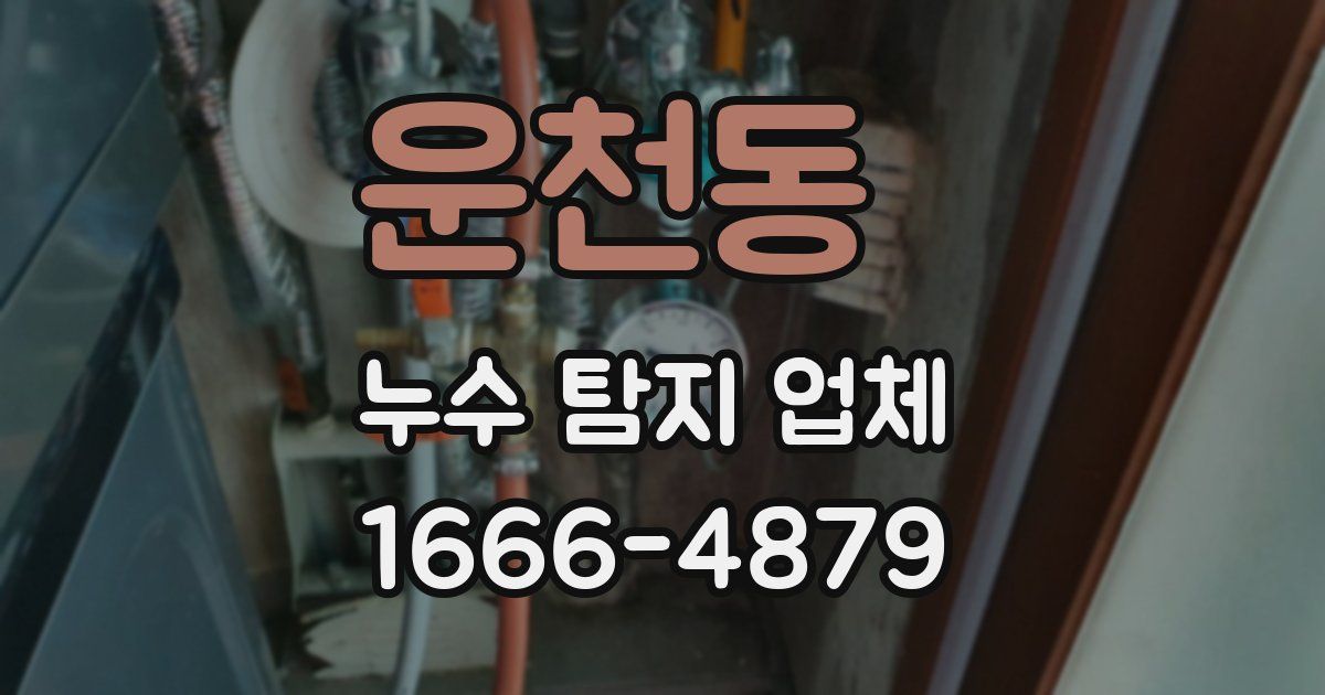 운천동 누수 탐지 업체